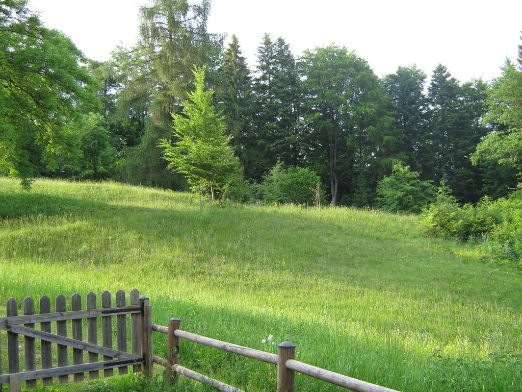 Borgo ValsuganaChalet La Montagnola别墅 外观 照片
