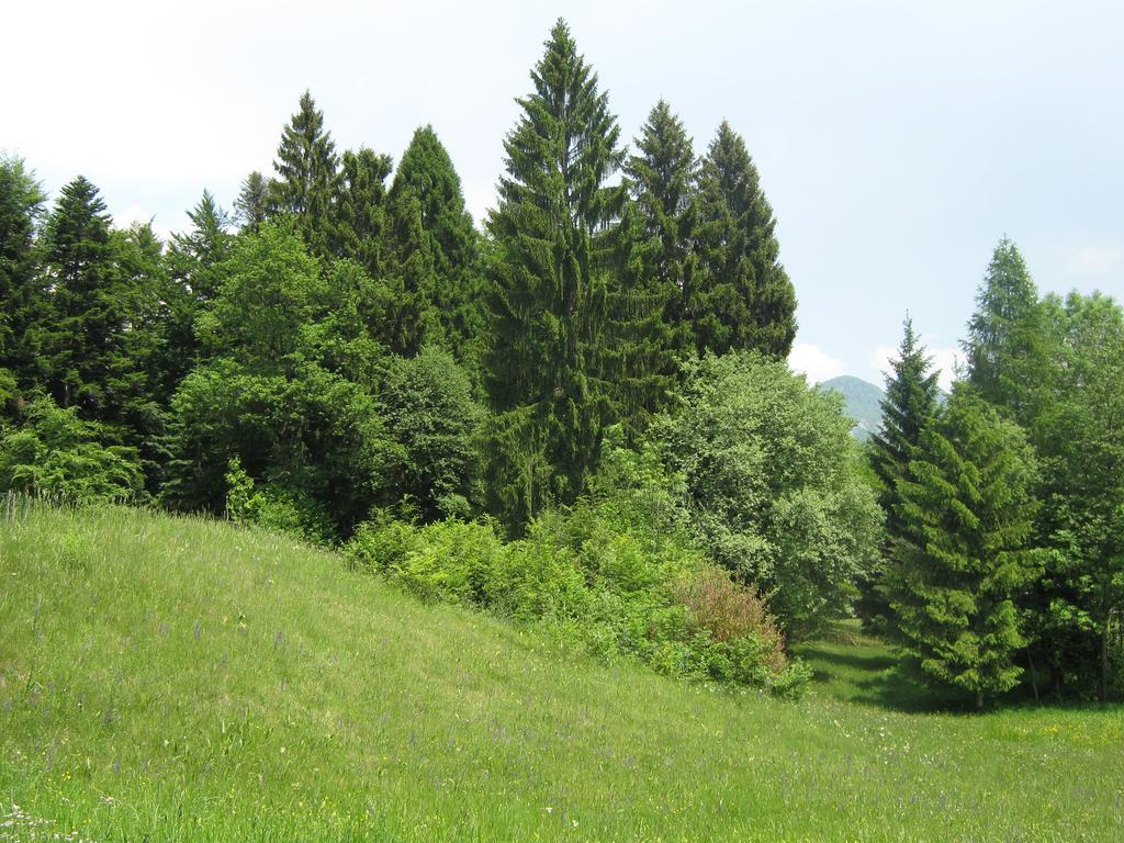 Borgo ValsuganaChalet La Montagnola别墅 外观 照片